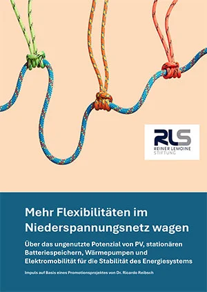 Mehr Flexibilität im Niederspannungsnetz wagen 